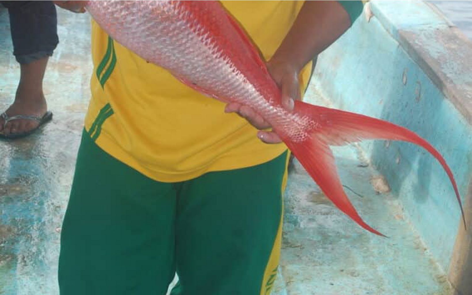 Flame Snapper Fisher in North Sulawesi, holding a flame snapper. © Peter Mous