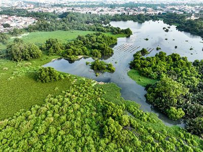 Pemandangan aerial Suaka Margasatwa Muara Angke.