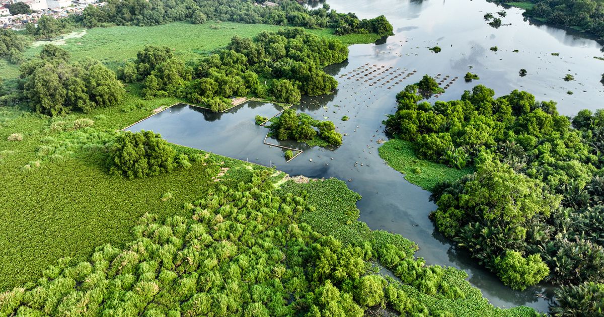 Keanekaragaman Burung dan Reptilia SMMA