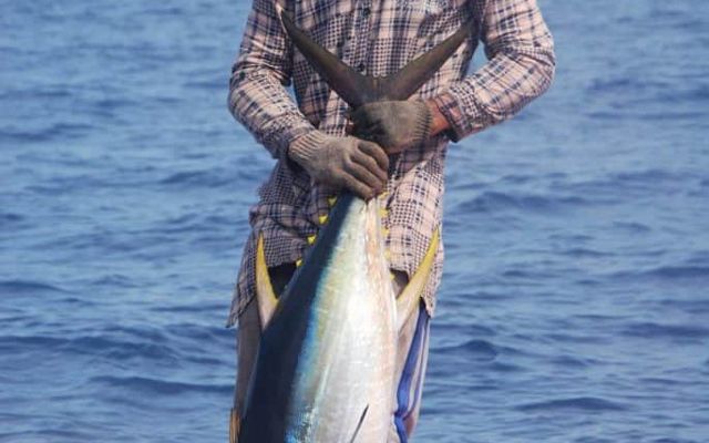 Fisher with a Nice Yellowfin Tuna