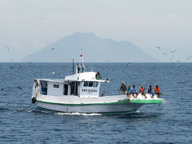 This pole and liner targets yellowfin tuna along with its smaller cousin, skipjack tuna. Pole and liners spray water on the sea surface while throwing bait fish to induce a tuna feeding frenzy. The fishers on the front deck then use pole and lines with feathered hooks to catch the feeding tuna.