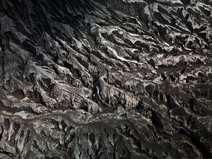 Mustard yellow fields frame a large fallow field. Hummocks of gray dirt are pushed up at the end of parallel tracks.