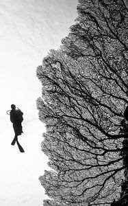 Aerial view looking down on a lake. The water is red with a curling ripple of white through the center. Flamingos fly over the lake in a curving flock.