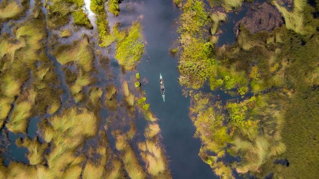 A helicopter drops a bucket of water on a wildfire. A second helicopter turns and flies in the opposite direction. A bird flies in the air between them.