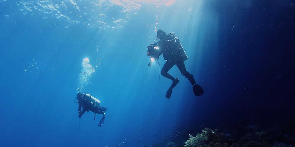 undersea coral restoration