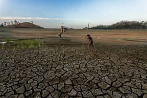 A small bird flies away from a basket shaped nest that dangles from a thin branch. The nest is framed by the greenery of surrounding trees and shrubs.