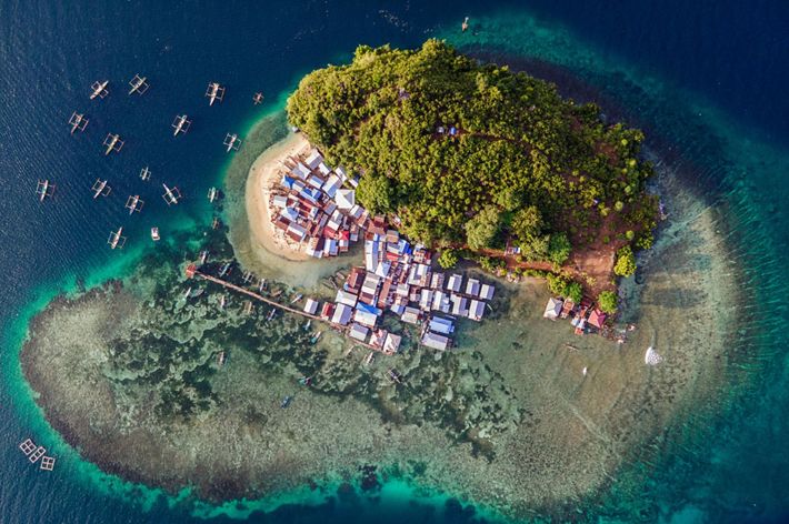 Kayu Pulo pulau yang terletak di Teluk Jayapura.