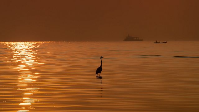 Looking down on a wide creek. The dark water splits the middle of the image, running between snow covered banks.