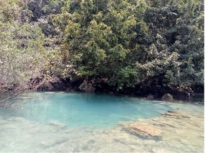 Kombinasi alam karst dan karang mewarnai pemandangan danau Sigending dengan nuansa hijau toska dan biru.