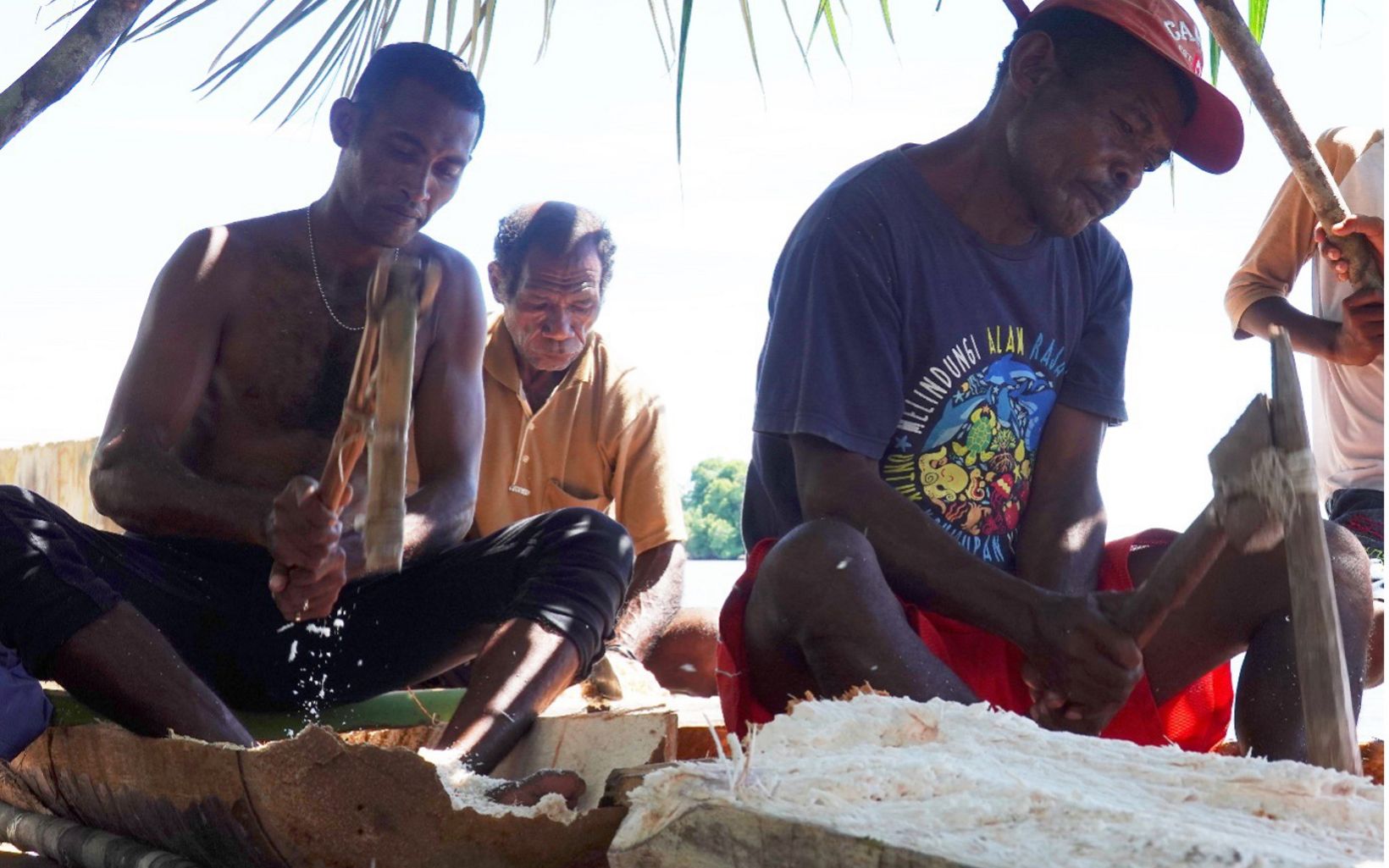 Keterangan Foto Perwakilan dari kelima kampung di Distrik Misool Utara menokok sagu bersama sebagai bagian dari Festival Budaya Misool Utara yang memperkenalkan budaya dan hidup keseharian warga Matbat. © Nugroho Arif Prabowo/YKAN