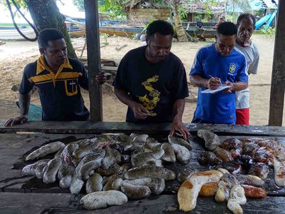 Collecting sea cucumber data.