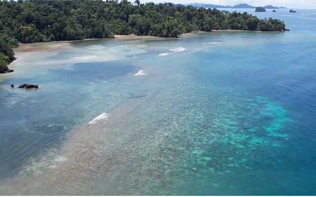 Aerial view of sasi area in Kapatcol village, Raja Ampat.