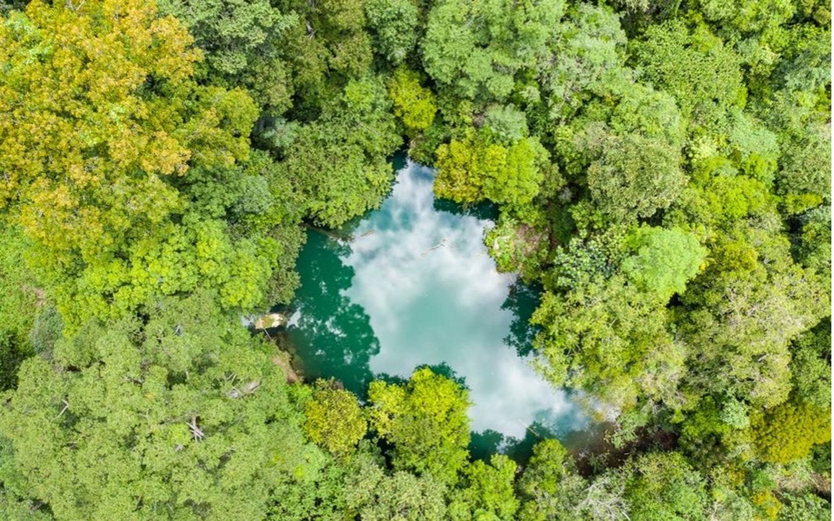Oasis of Kampung Merabu  Besides being famous for its natural beauty, Lake Nyadeng supports the life of Kampung Merabu as a source of water. © YKAN