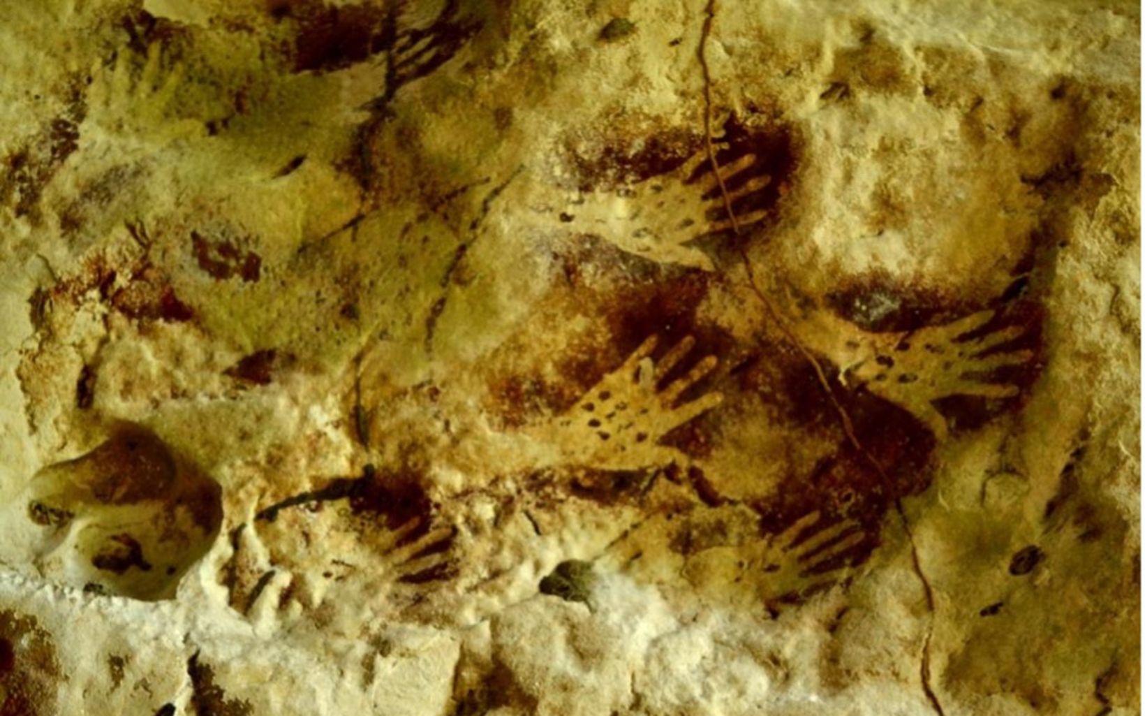 
                
                  Lukisan Nenek Moyang  Gua Beloyot menyimpan artefak bukti kehidupan nenek moyang di jaman prasejarah.
                  © YKAN
                
              