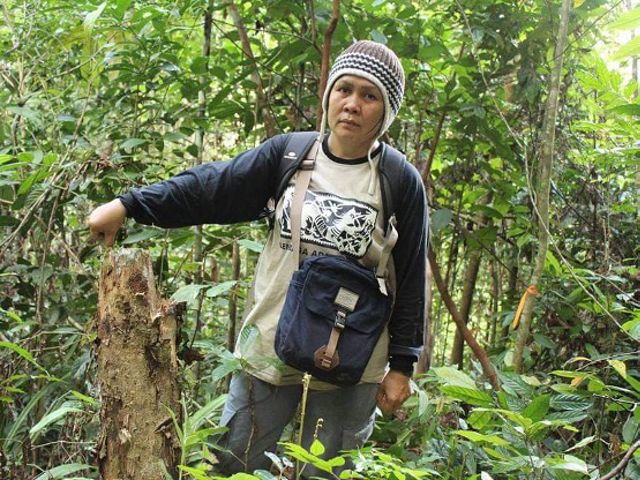 Anggota Petkuq Mehuey kawasan Hutan Lindung Wehea, Kalimantan Timur.
