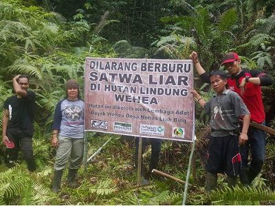 Wehea Protected Forest is the home to many wildlife, including several endangered species based on the International Union for Conservation of Nature (IUCN).