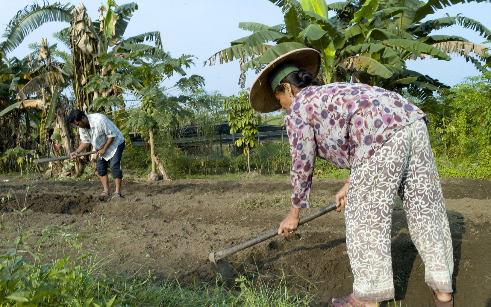 Field Farmers prepare field for planting at the Nehas Liah Bing Village, Kalimantan region of Borneo, Indonesia. © Bridget Besaw 