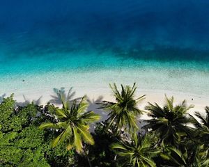 Raja Ampat Kofiau.