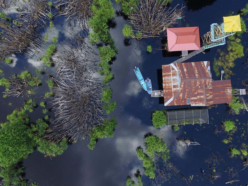 Aerial view of peatlands on the Koran River, Indonesia.