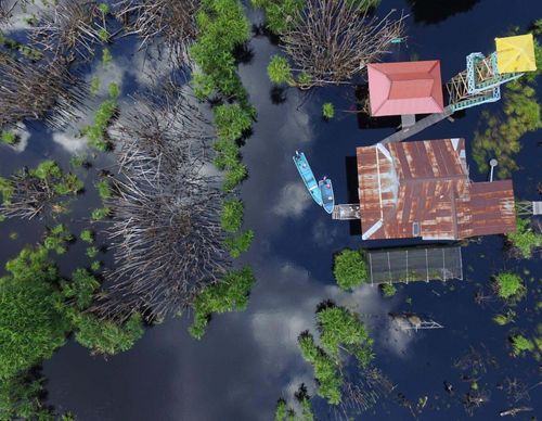 Aerial view of peatlands on the Koran River, Indonesia.