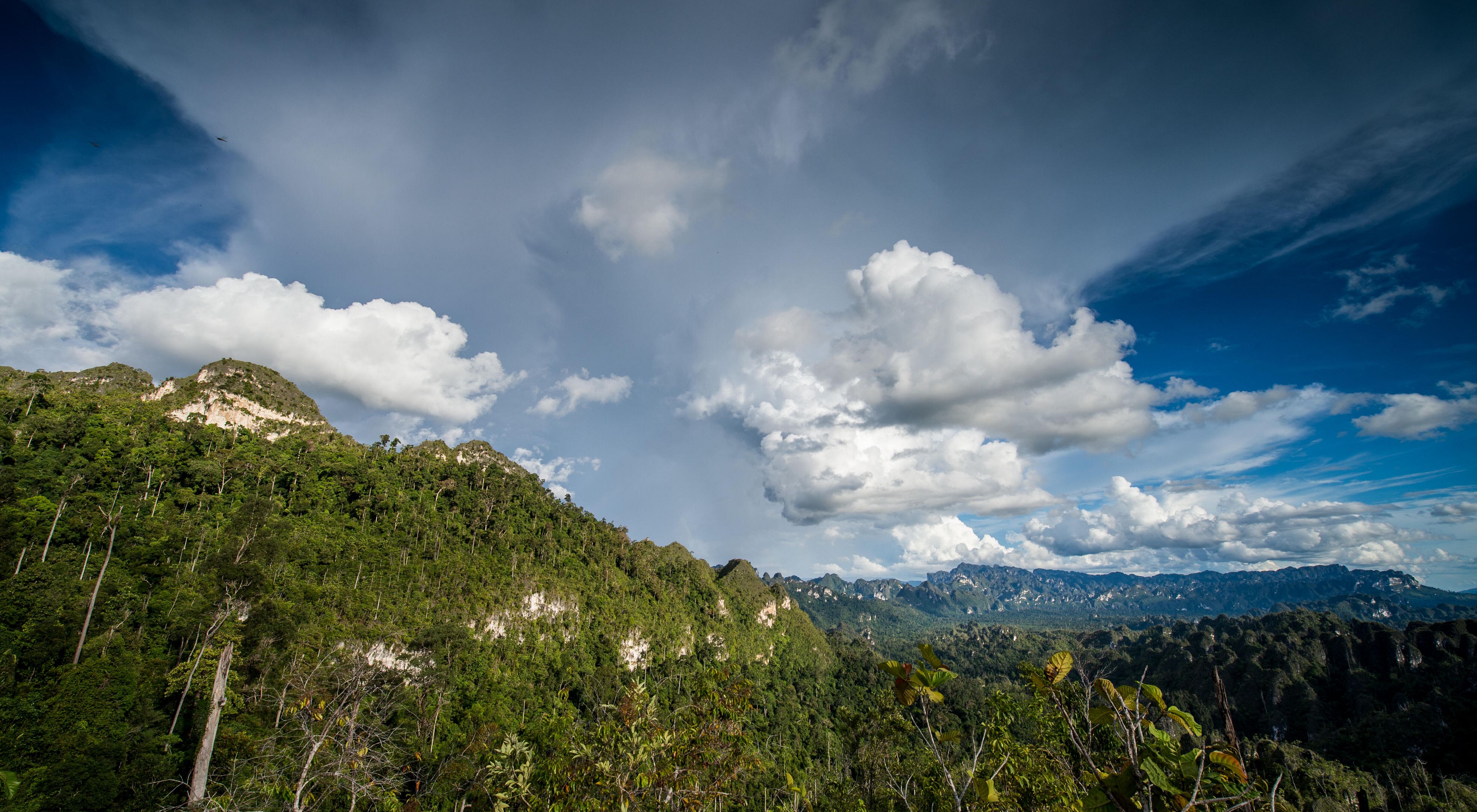 Pemandangan Hutan Kalimantan Timur