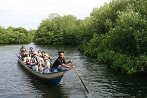 Wakatobi, Sulawesi Tenggara