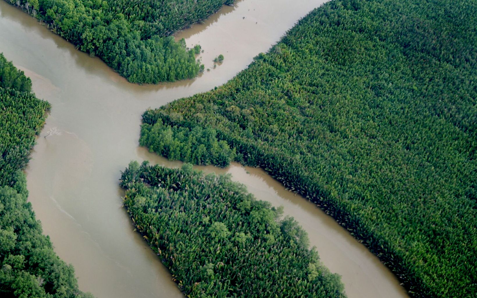 
                
                  Intersections of a river Berau regency, East Kalimantan
                  © Ahmad Fuadi
                
              