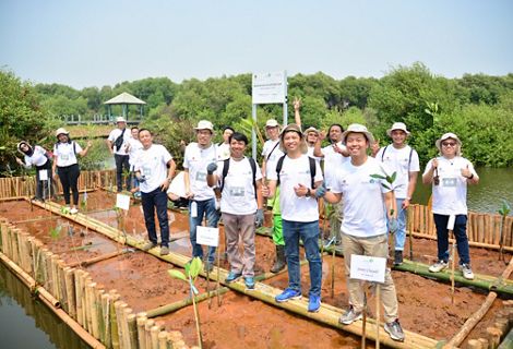 Djarum Mangrove Planting