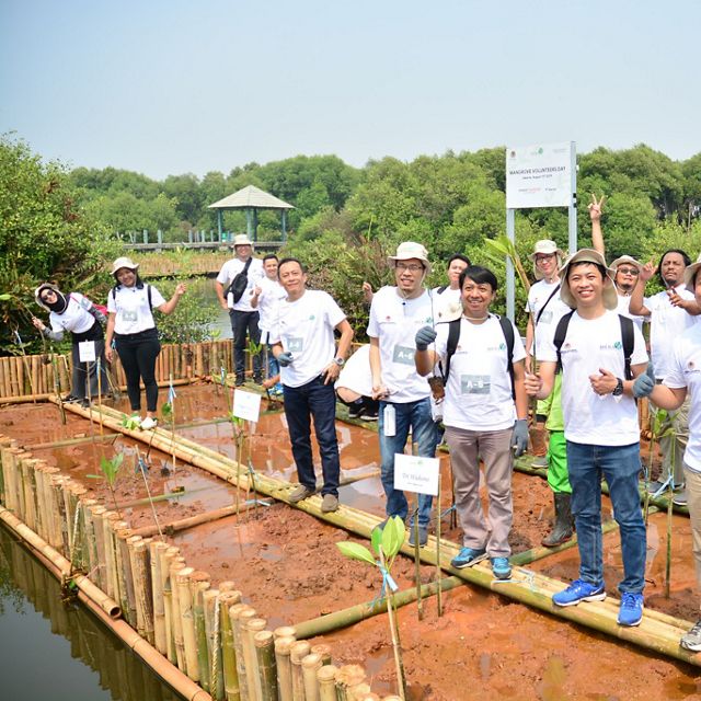Mangrove Volunteers Day with Djarum Foundation