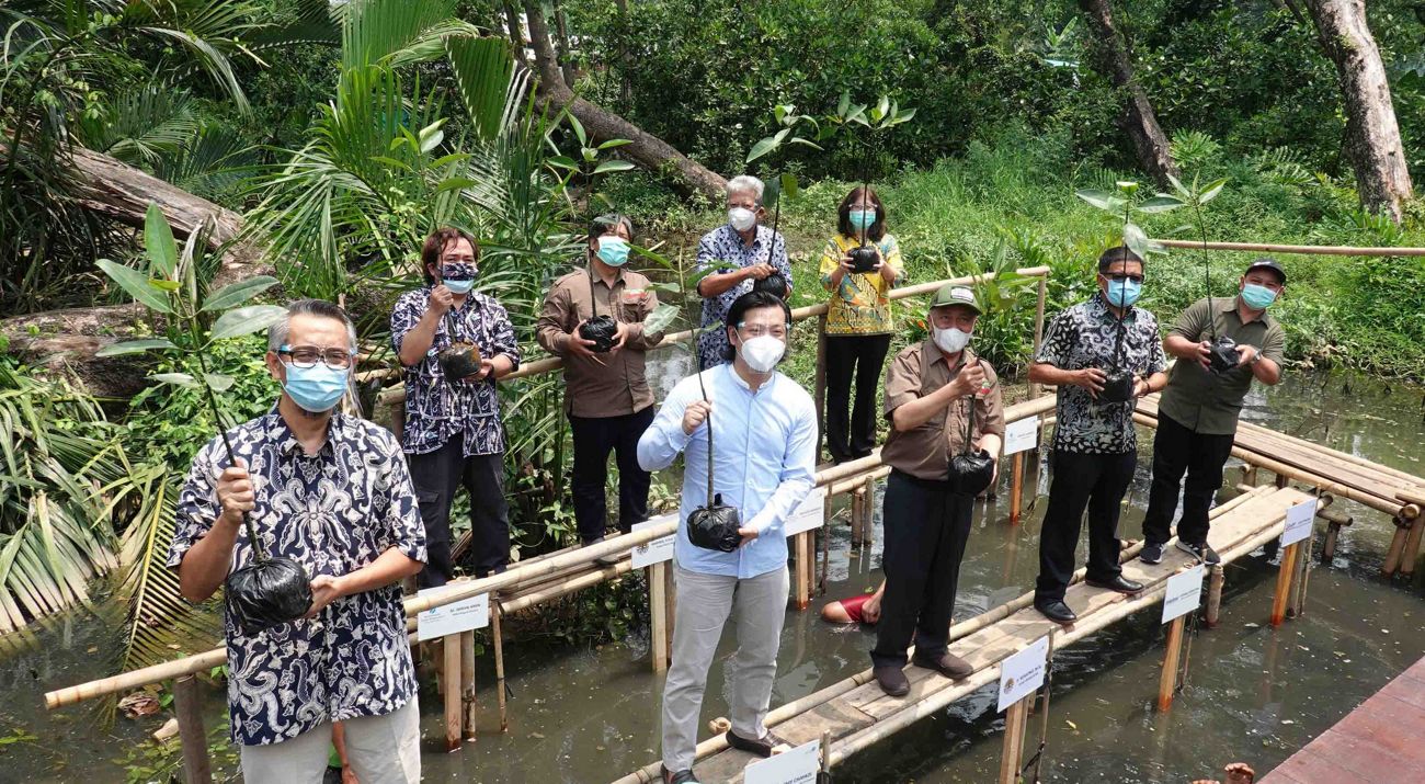 Penaman Pohon Mangrove