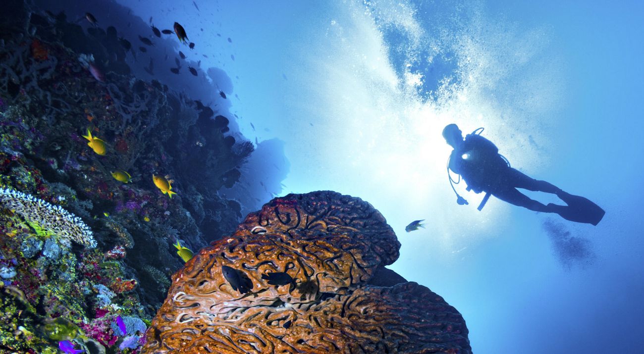 Pemandangan Bawah Laut