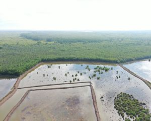 Desa Pegat Batumbuk, Derawan, Berau, Kalimantan Timur