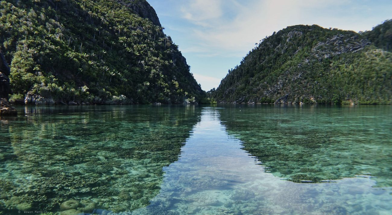 Teluk Triton