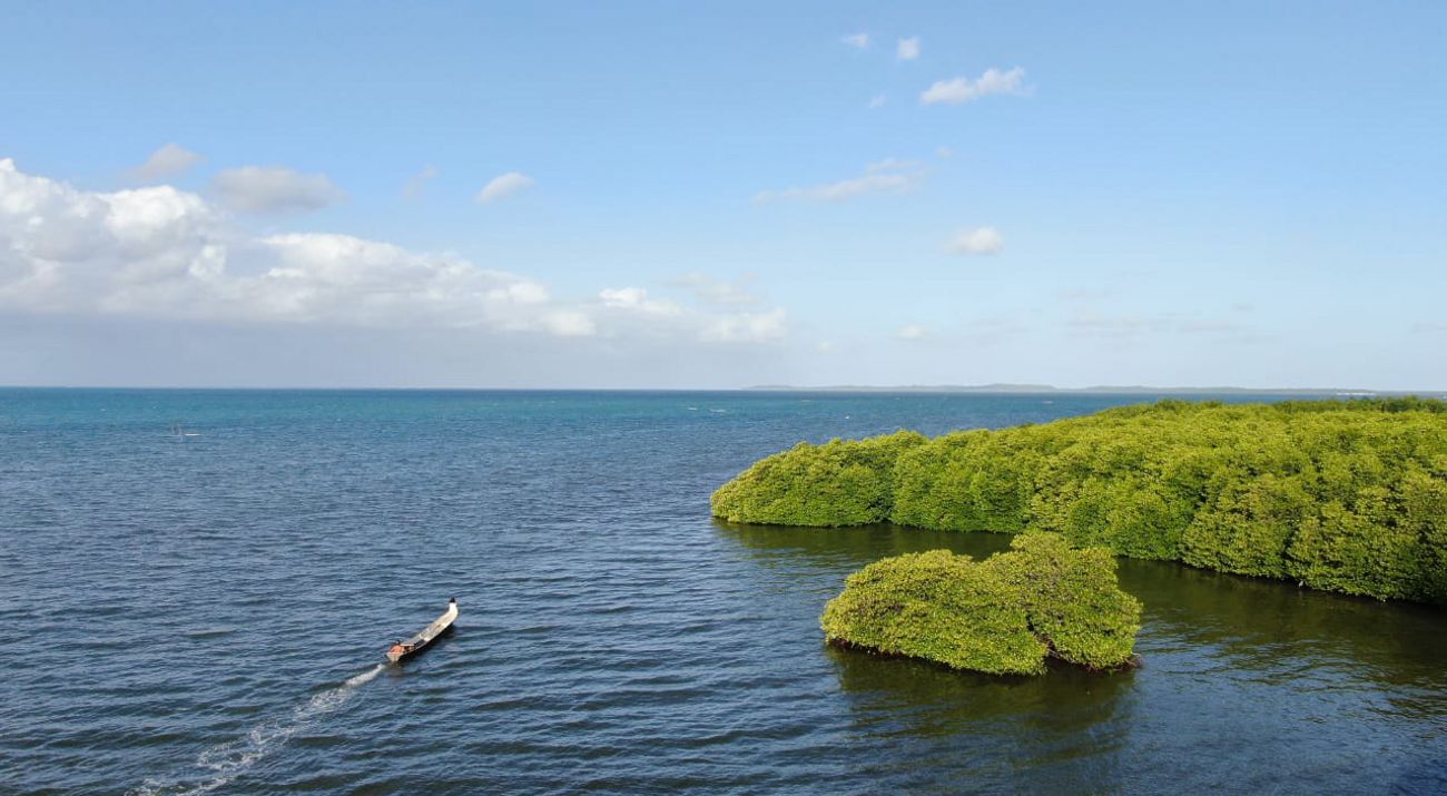 WAKATOBI