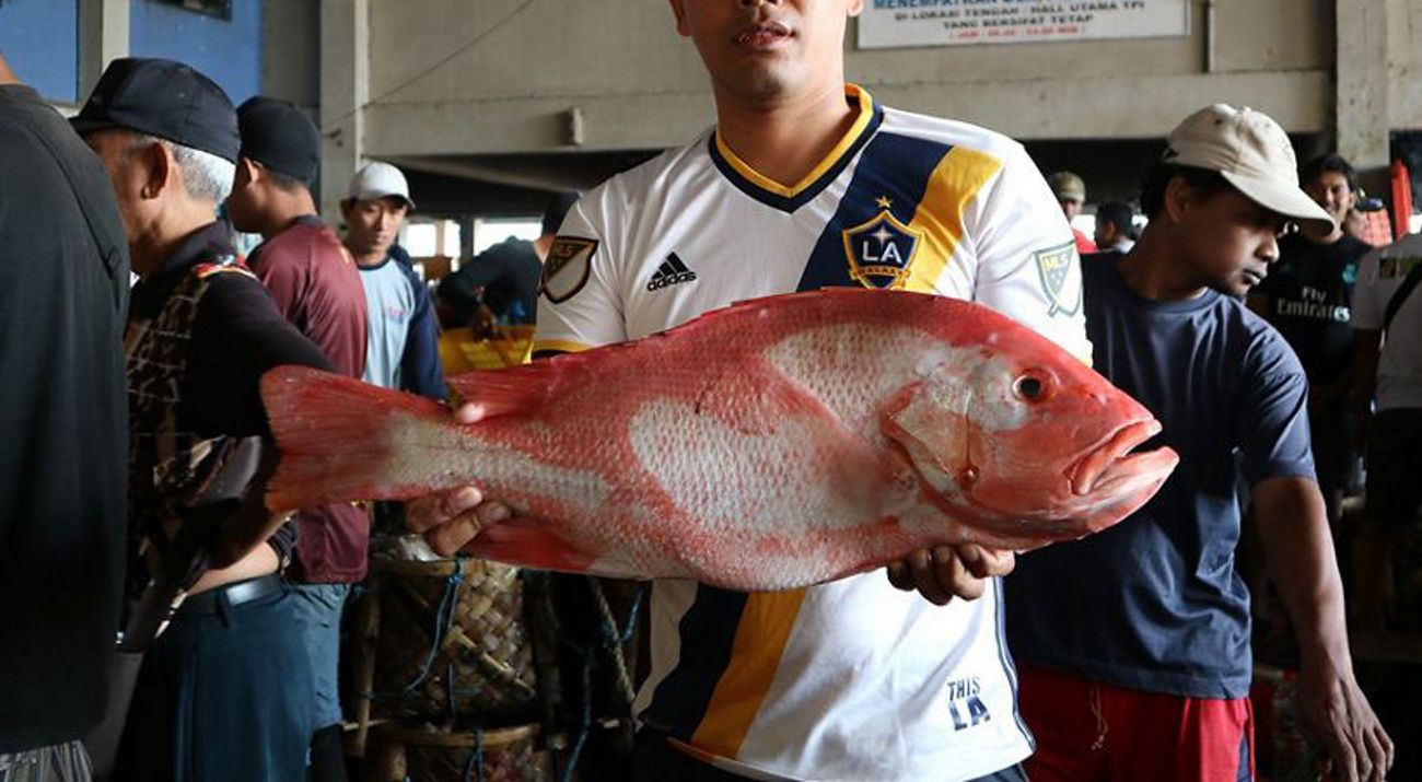 Kakap Merah