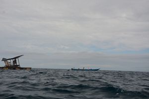 Hasil tangkap Ikan Tuna Sirip Kuning