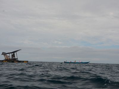 Hasil tangkap Ikan Tuna Sirip Kuning