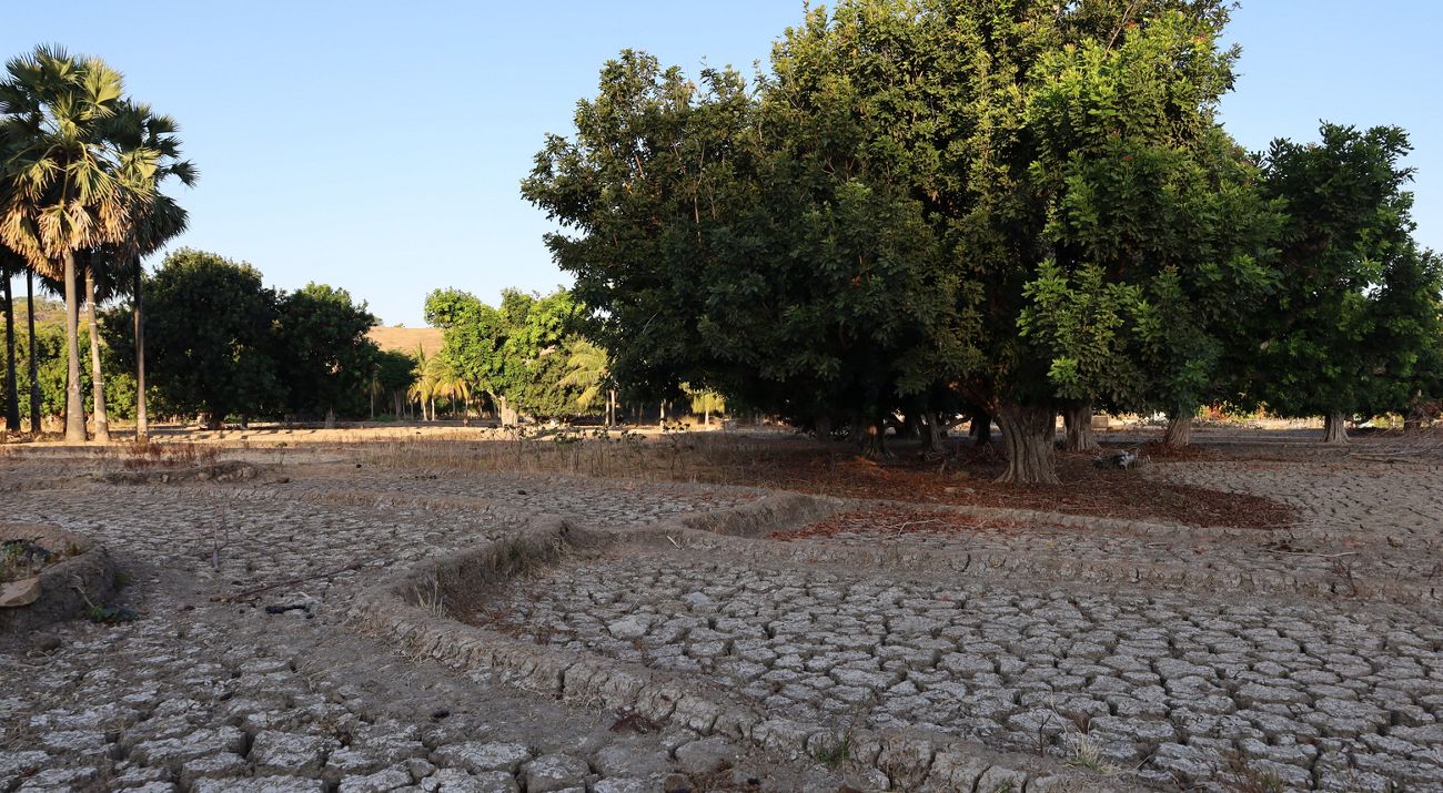 Prolonged Drought in Sabu Raijua