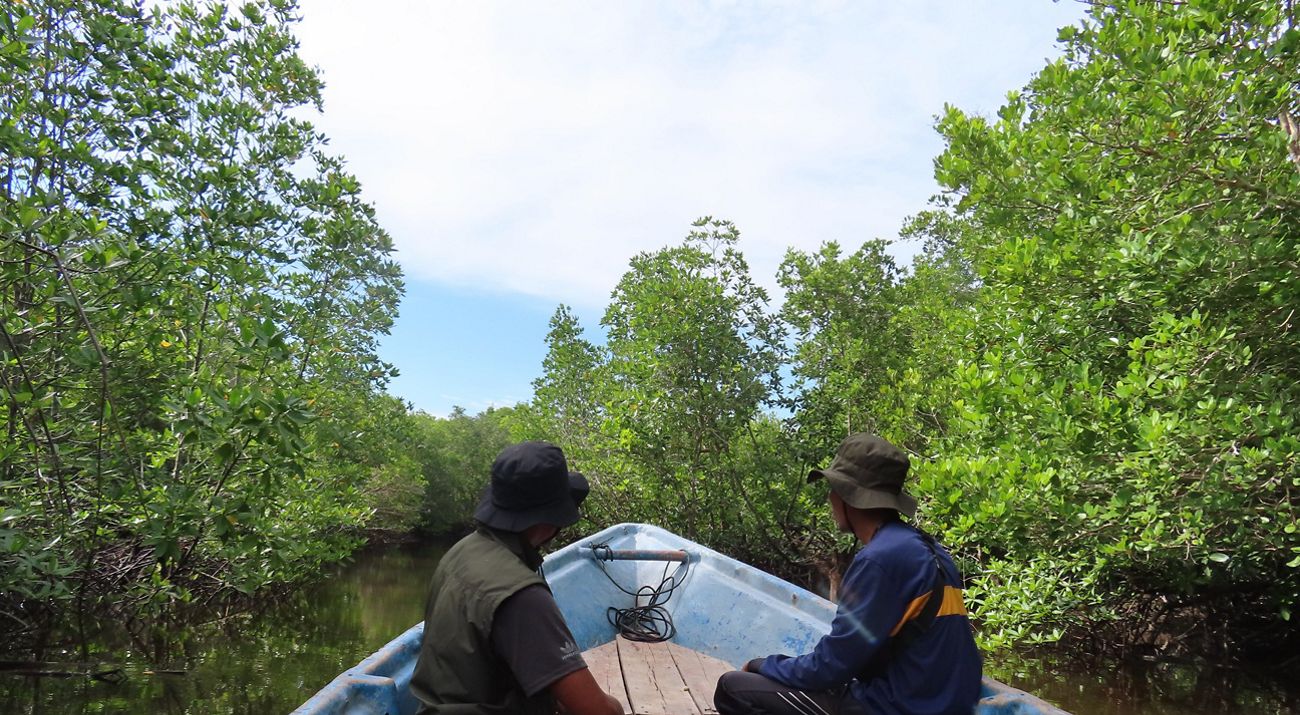 Patroli mangrove bengkalis