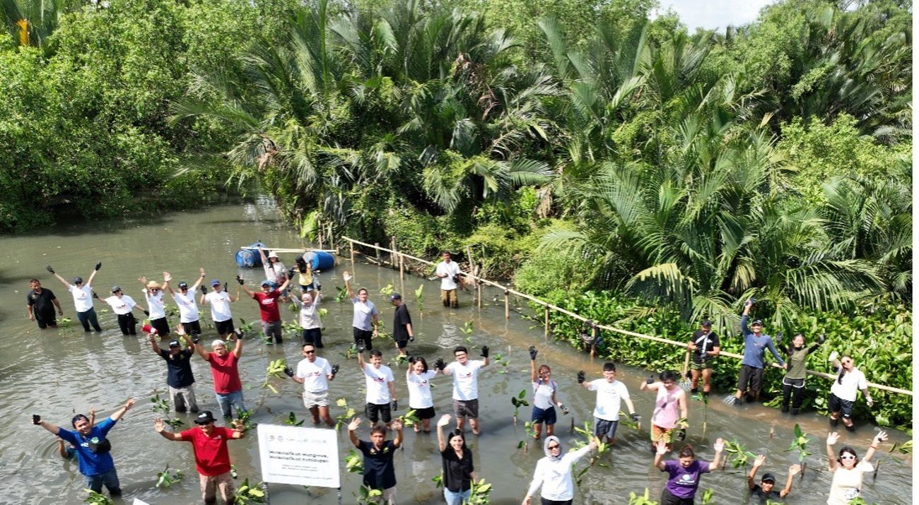 Mangrove Planting