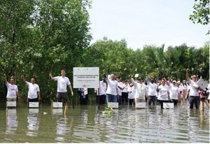 Preserving Mangroves For Sustainable Indonesia