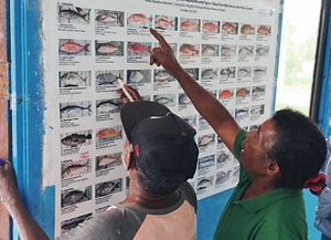 Diseminasi CODRS