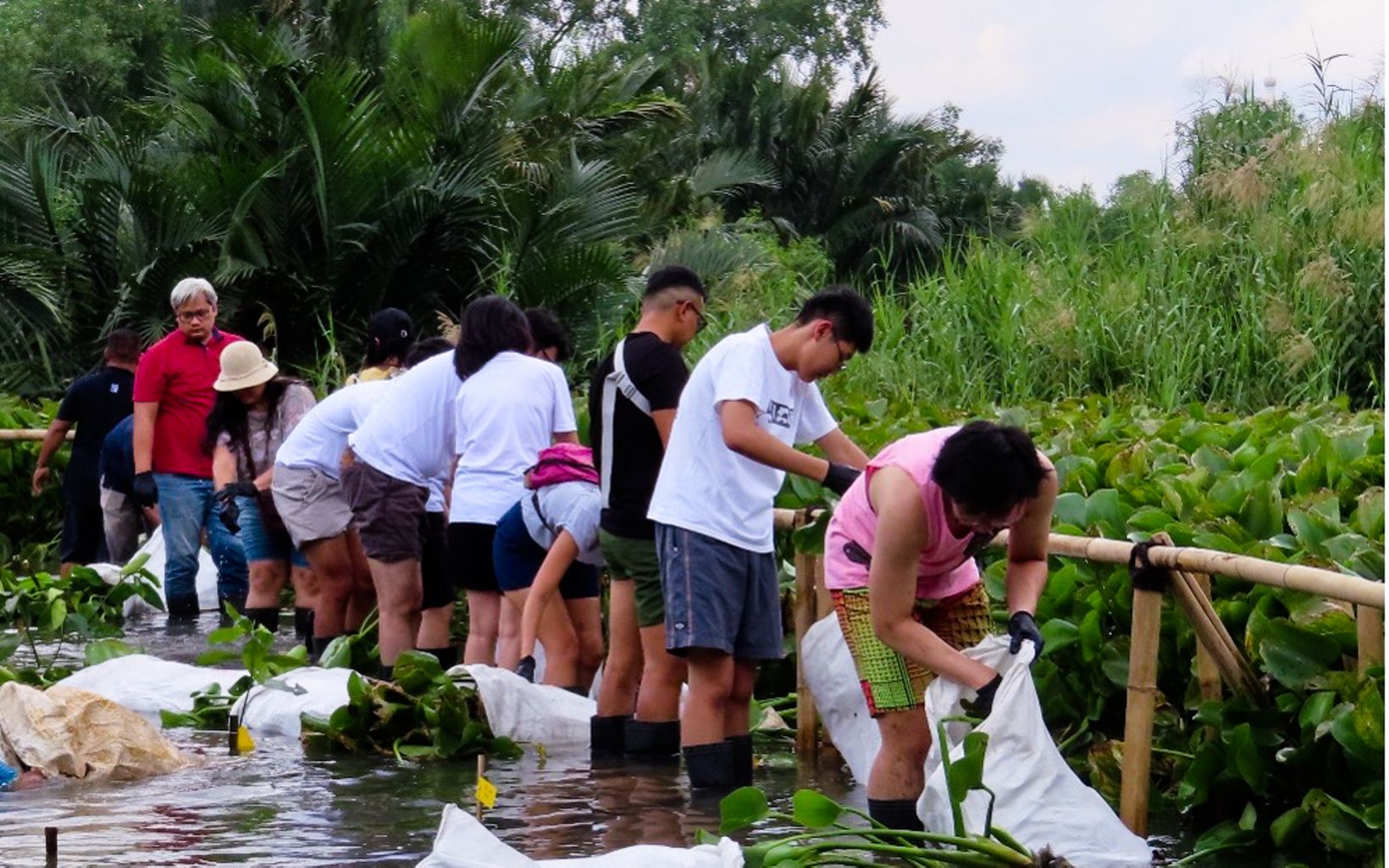 
                
                  Keterangan Foto Balai Konservasi Sumber Daya Alam (BKSDA) Jakarta bersama Yayasan Konservasi Alam Nusantara (YKAN) dan Disney menanam melakukan kegiatan penanaman mangrove dan Ngobrol Santai Konservasi (Ngonser) di Suaka Margasatwa (SM) Muara Angke dengan tema “Melestarikan Mangrove, Melestarikan Kehidupan”, pada Sabtu (21/1). Dalam kesempatan ini juga dilakukan kegiatan pembersihan tumbuhan invasif dan pembibitan mangrove. Kegiatan penyadartahuan menjadi salah satu cara yang rutin dilakukan BKSDA Jakarta, YKAN, dan bersama mitra untuk meningkatkan kepedulian dan mendorong para pihak terus bersama-sama melakukan pemulihan dan perbaikan lingkungan.
                  © A Yoseph Wihartono/YKAN
                
              