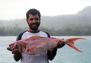 Diseminasi CODRS Raja Ampat