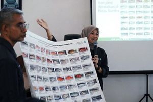 Poster ikan CODRS