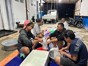 Pembenihan udang windu