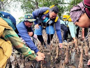 Identifikasi hidrologi ekosistem mangrove di Babel