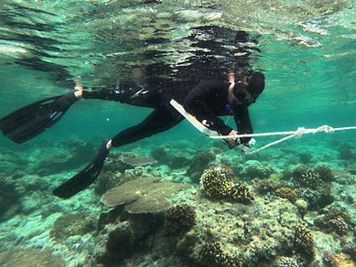 Manta Tow Derawan