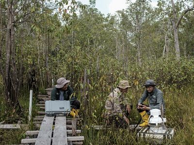 The research team of tropical peatland forest from YKAN measure various carbon parameters at research sites in tropical peat forests on Lake Siran, Muara Siran Village, Muara Kaman District, Kutai Kertanegara Regency, East Kalimantan on May 30th, 2023
East Kalimantan has 183,050 ha of peatland, in which 42,200 ha can be found in Muara Siran Village. Within the past decade (2009-2019), 7% of peat swamp forest in East Kalimantan has been converted into other uses. The Muara Siran peatland is crucial for the livelihoods of surrounding communities and provides habitat for many endemic species