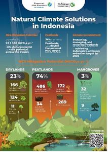 Lahan Gambut Tropis Punya Peranan Utama Dalam Mitigasi Perubahan